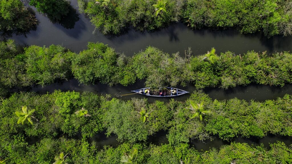 The Mangrove Forests on Munroe Island, Kerala, India: Why You Must Visit