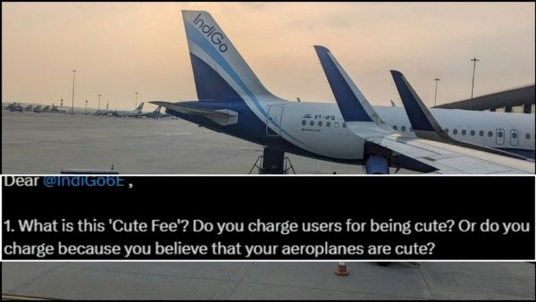 Questions About "Cute Fee" Spark Online Buzz: Understanding IndiGo’s Fees